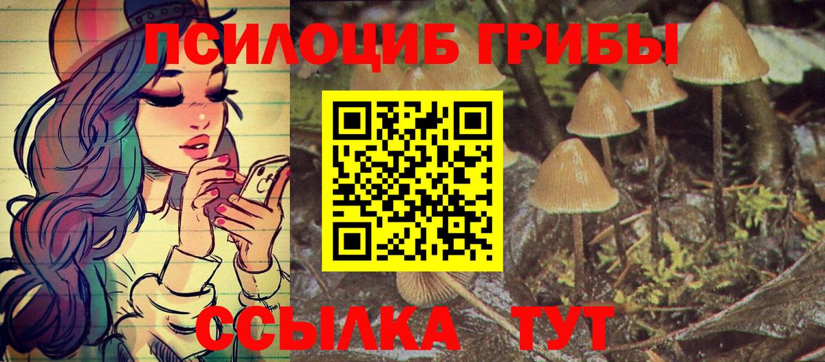 Псилоцибиновые грибы Psilocybe Химки