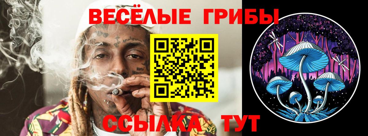 Химки  Псилоцибиновые грибы ЛСД  Вход с VPN 